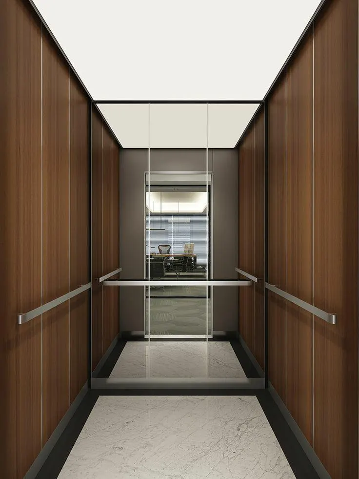 Cabin panelled in dark walnut with a marble floor and twin handrails