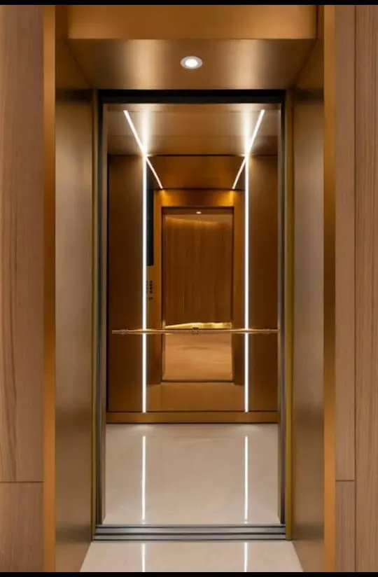 Bronze cabin with vertical LED profiles, framed by a wood-lined lobby wall
